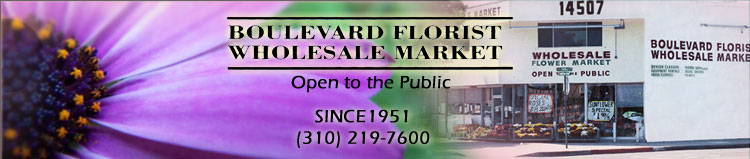 Boulevard Florist Wholesale Market, Open to the Public.  Since 1951. 