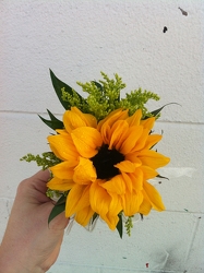 Sunflower from Boulevard Florist Wholesale Market