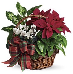 Holiday Homecoming Basket from Boulevard Florist Wholesale Market