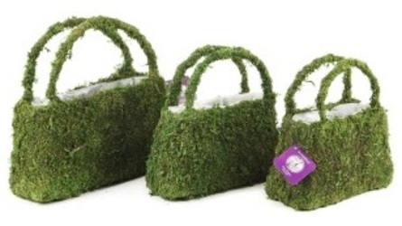 Moss Purse - Medium from Boulevard Florist Wholesale Market