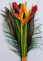 Tropical Bouquet - Small - "Litabe #9" from Boulevard Florist Wholesale Market