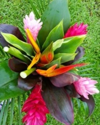Tropical Bouquet - Large - "Roxana" from Boulevard Florist Wholesale Market