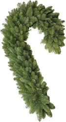 Candy Cane from Boulevard Florist Wholesale Market