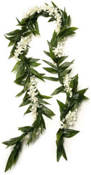 Lei - Deluxe Meile STYLE - White from Boulevard Florist Wholesale Market