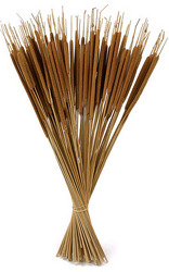 Cattails - Dried from Boulevard Florist Wholesale Market