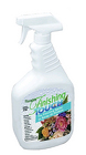 Finishing Touch - 32oz Spray from Boulevard Florist Wholesale Market