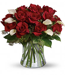 Be Still My Heart - Dozen Red Roses from Boulevard Florist Wholesale Market