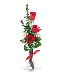 3 Red Roses from Boulevard Florist Wholesale Market