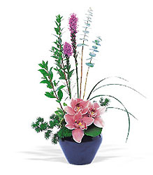 Orchid Cheer from Boulevard Florist Wholesale Market