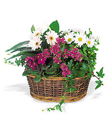 Traditional European Garden Basket from Boulevard Florist Wholesale Market