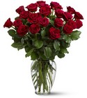 Two Dozen Red Roses from Boulevard Florist Wholesale Market