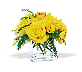 Yellow Rose Bravo! from Boulevard Florist Wholesale Market
