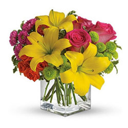 Boulevard Florist :: Wholesale Florist and Flowers in Los Angeles