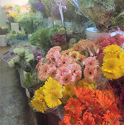 Our Wholesale Flower Division is the place to go for bulk orders.