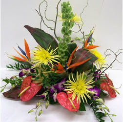 Boulevard has a full selection of flowers for retail sale. Shop Today!
