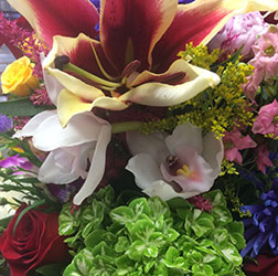Boulevard has a full selection of flowers for retail sale. Shop Today!