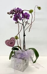3" Orchid Deco from Boulevard Florist Wholesale Market