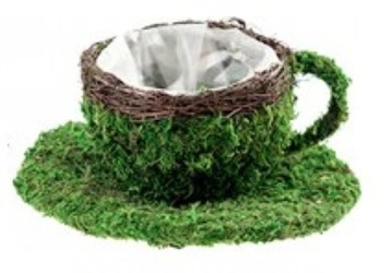 Moss Cup & Saucer from Boulevard Florist Wholesale Market