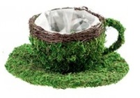 Moss Cup & Saucer from Boulevard Florist Wholesale Market