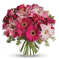 A LITTLE PINK ME UP  from Boulevard Florist Wholesale Market