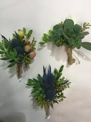 Thistle & Succulent from Boulevard Florist Wholesale Market