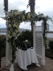 Ceremony 12 from Boulevard Florist Wholesale Market