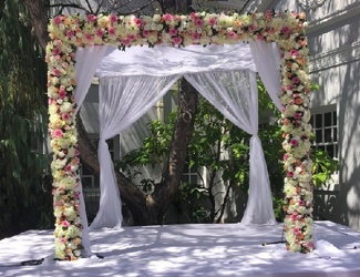 Ceremony 50 from Boulevard Florist Wholesale Market