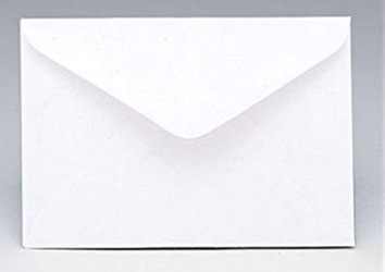 ENVELOPE - ENCLOSURE CARD SIZE from Boulevard Florist Wholesale Market