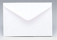 ENVELOPE - ENCLOSURE CARD SIZE from Boulevard Florist Wholesale Market