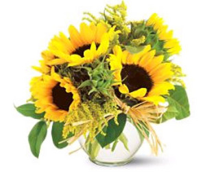 Spring Sunflowers from Boulevard Florist Wholesale Market