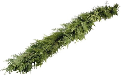 Garland - Cedar - 75' Coil from Boulevard Florist Wholesale Market