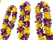 Lei - Dbl Alt Bombay & White Dyed Yellow from Boulevard Florist Wholesale Market