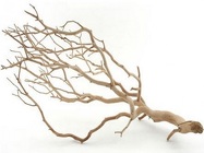 Manzanita - Sandblasted Large 5' to 6' from Boulevard Florist Wholesale Market