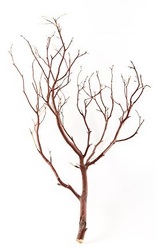 Manzanita - Natural Small 18