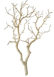 Manzanita - Sandblasted Small 18