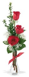 Single Rose in Budvase from Boulevard Florist Wholesale Market