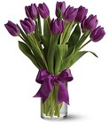 Passionate Tulips  from Boulevard Florist Wholesale Market