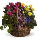 Blooming Garden basket from Boulevard Florist Wholesale Market
