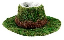Moss Cowboy Hat from Boulevard Florist Wholesale Market