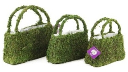 Moss Purse - Large from Boulevard Florist Wholesale Market