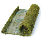 Moss - Moss Mat Roll from Boulevard Florist Wholesale Market