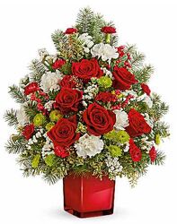 Radiant Winter Tree from Boulevard Florist Wholesale Market