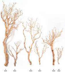 Rental - Manzanita Branches from Boulevard Florist Wholesale Market