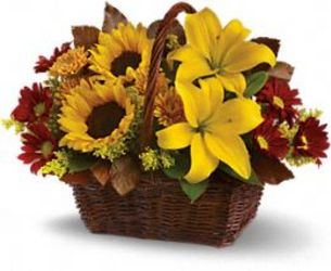 Golden Day's Basket from Boulevard Florist Wholesale Market