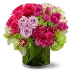 New Sensations from Boulevard Florist Wholesale Market