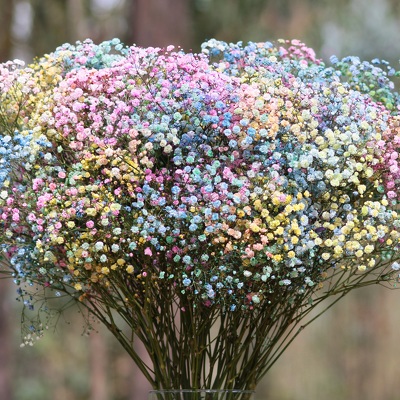 Market Flowers - How big is a bunch of Babies Breath?