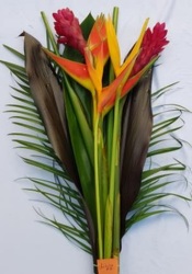 Tropical Bouquet - Flat #2 from Boulevard Florist Wholesale Market