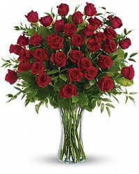 Breathtaking Beauty - 3 Dozen Long Stemmed Roses from Boulevard Florist Wholesale Market