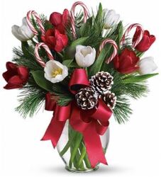 Golly It's Jolly Tulips from Boulevard Florist Wholesale Market