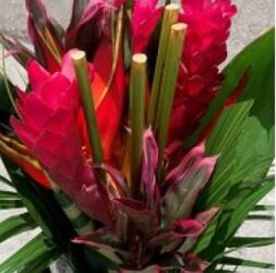 Tropical Bouquet - Round Mini #1 from Boulevard Florist Wholesale Market